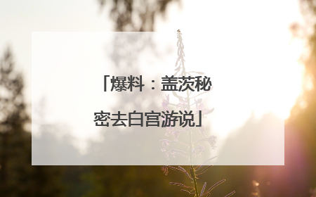 爆料：盖茨秘密去白宫游说