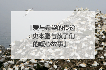 爱与希望的传递：史本鹏与孩子们的暖心故事