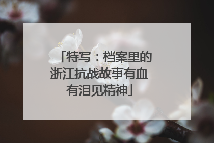 特写：档案里的浙江抗战故事有血有泪见精神