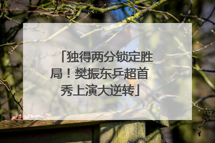独得两分锁定胜局！樊振东乒超首秀上演大逆转