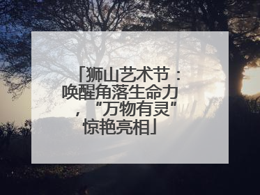狮山艺术节：唤醒角落生命力，“万物有灵”惊艳亮相