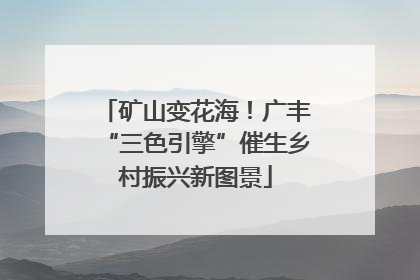 矿山变花海！广丰“三色引擎”催生乡村振兴新图景