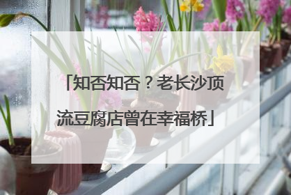 知否知否？老长沙顶流豆腐店曾在幸福桥
