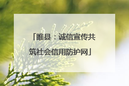 睢县：诚信宣传共筑社会信用防护网
