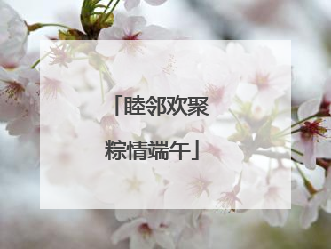 睦邻欢聚 粽情端午