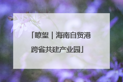 瞭望｜海南自贸港跨省共建产业园