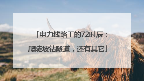 电力线路工的72时辰：爬陡坡钻隧道，还有其它