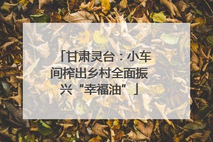 甘肃灵台：小车间榨出乡村全面振兴“幸福油”