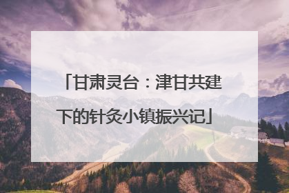 甘肃灵台：津甘共建下的针灸小镇振兴记