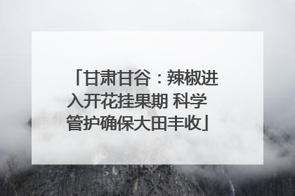 甘肃甘谷：辣椒进入开花挂果期 科学管护确保大田丰收