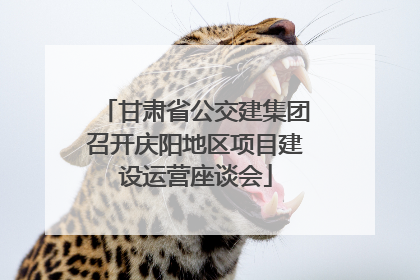 甘肃省公交建集团召开庆阳地区项目建设运营座谈会
