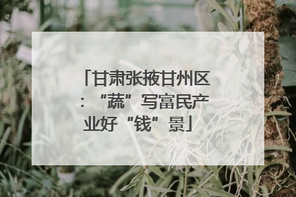 甘肃张掖甘州区：“蔬”写富民产业好“钱”景