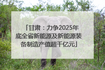 甘肃：力争2025年底全省新能源及新能源装备制造产值超千亿元