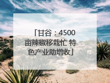 甘谷：4500亩辣椒移栽忙 特色产业助增收