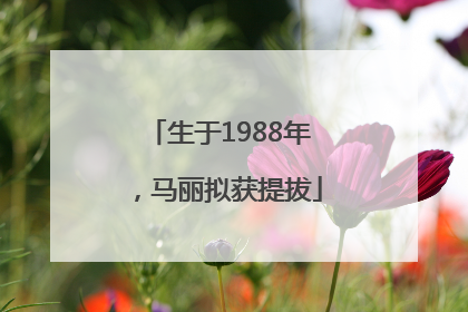 生于1988年，马丽拟获提拔