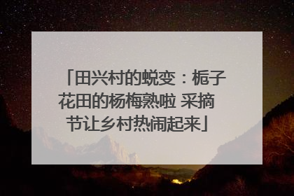 田兴村的蜕变：栀子花田的杨梅熟啦 采摘节让乡村热闹起来