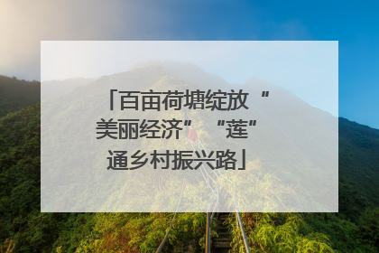 百亩荷塘绽放“美丽经济”“莲”通乡村振兴路