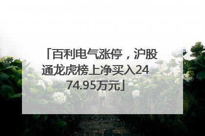 百利电气涨停，沪股通龙虎榜上净买入2474.95万元