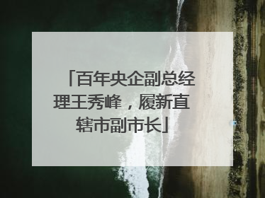 百年央企副总经理王秀峰，履新直辖市副市长