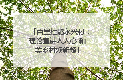 百里杜鹃永兴村：理论宣讲入人心 和美乡村焕新颜