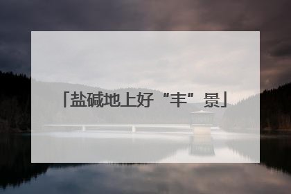 盐碱地上好“丰”景
