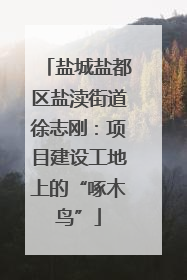 盐城盐都区盐渎街道徐志刚：项目建设工地上的“啄木鸟”