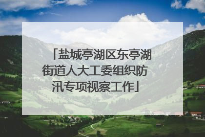 盐城亭湖区东亭湖街道人大工委组织防汛专项视察工作