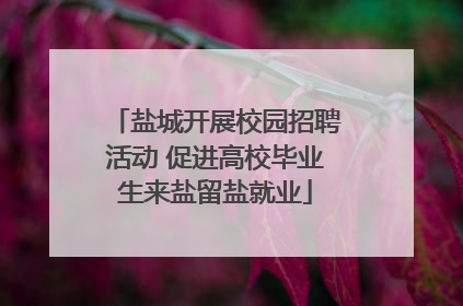 盐城开展校园招聘活动 促进高校毕业生来盐留盐就业