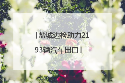 盐城边检助力2193辆汽车出口