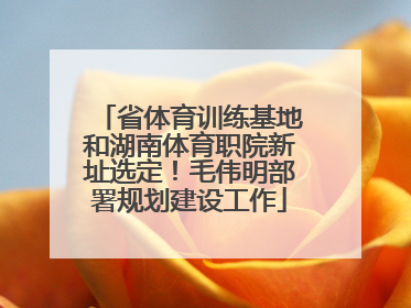 省体育训练基地和湖南体育职院新址选定！毛伟明部署规划建设工作