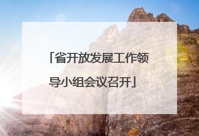 省开放发展工作领导小组会议召开