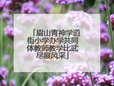 眉山青神学道街小学办学共同体教师教学比武尽展风采