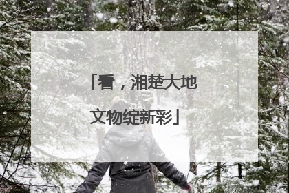 看，湘楚大地文物绽新彩