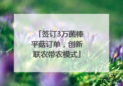 签订3万菌棒平菇订单，创新联农带农模式
