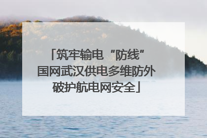 筑牢输电“防线” 国网武汉供电多维防外破护航电网安全
