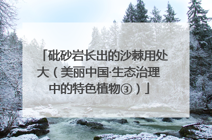砒砂岩长出的沙棘用处大（美丽中国·生态治理中的特色植物③）