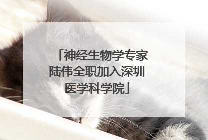 神经生物学专家陆伟全职加入深圳医学科学院