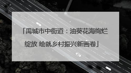 禹城市中街道：油葵花海绚烂绽放 绘就乡村振兴新画卷