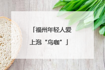 福州年轻人爱上泡“鸟咖”