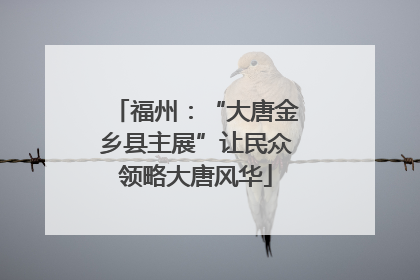 福州：“大唐金乡县主展”让民众领略大唐风华