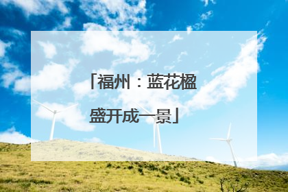 福州：蓝花楹盛开成一景