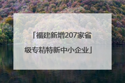 福建新增207家省级专精特新中小企业