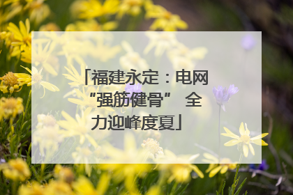 福建永定：电网“强筋健骨” 全力迎峰度夏