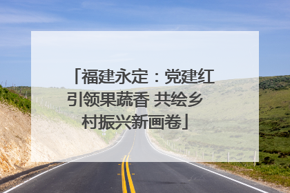 福建永定：党建红引领果蔬香 共绘乡村振兴新画卷