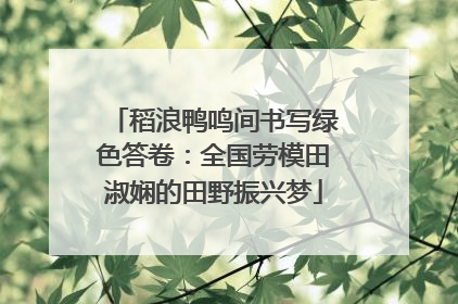 稻浪鸭鸣间书写绿色答卷：全国劳模田淑娴的田野振兴梦