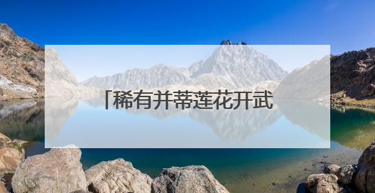 稀有并蒂莲花开武汉，今夏全城28处公园点位可赏荷