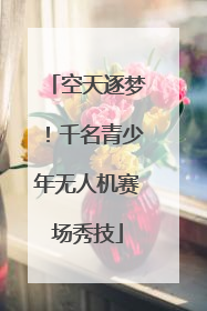 空天逐梦！千名青少年无人机赛场秀技