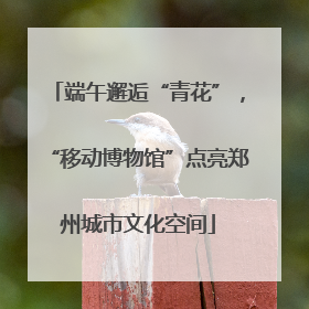 端午邂逅“青花”，“移动博物馆”点亮郑州城市文化空间