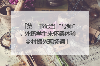 第一书记当“导师”，外籍学生来怀柔体验乡村振兴现场课