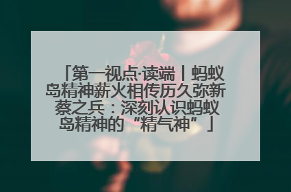 第一视点·读端丨蚂蚁岛精神薪火相传历久弥新 蔡之兵：深刻认识蚂蚁岛精神的“精气神”